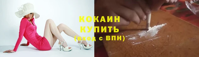 спайс Ельня