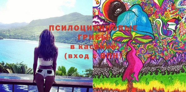 спайс Ельня