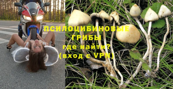 a pvp Козловка