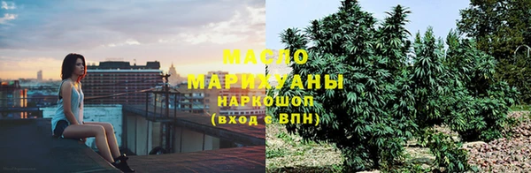 спайс Ельня